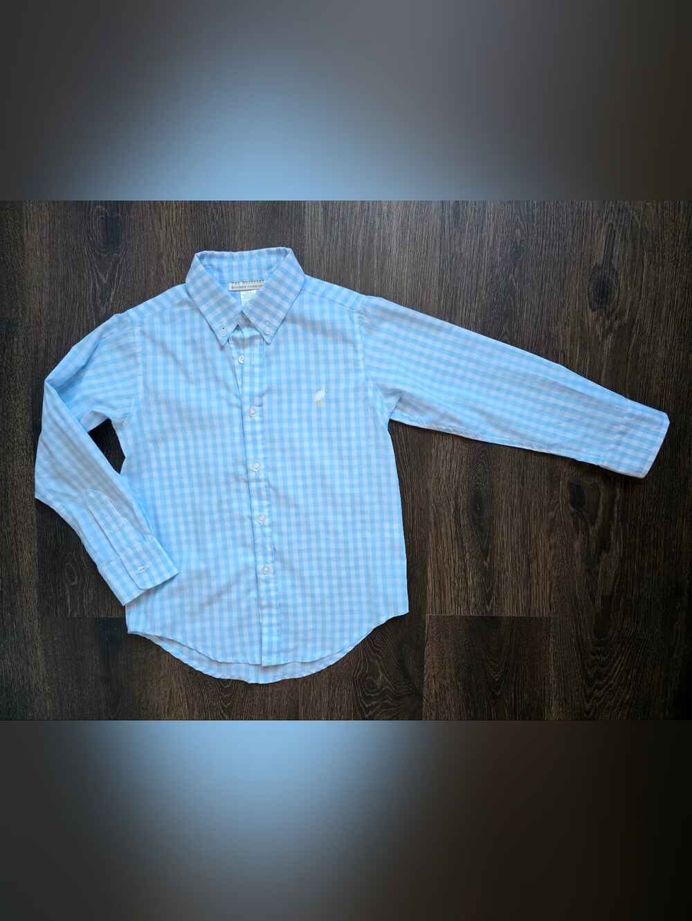 The Beaufort Bonnet blue gingham white stork Dean's List dress shirt